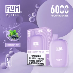 Flum Pebble 6000 Disposable Device – Blueberry Mint